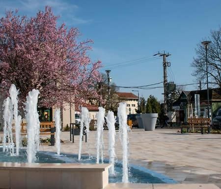 Thermal Apartman Tiszafuered Exterior foto